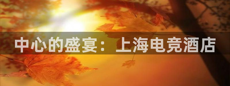 火博电竞：中心的盛宴：上海电竞酒店