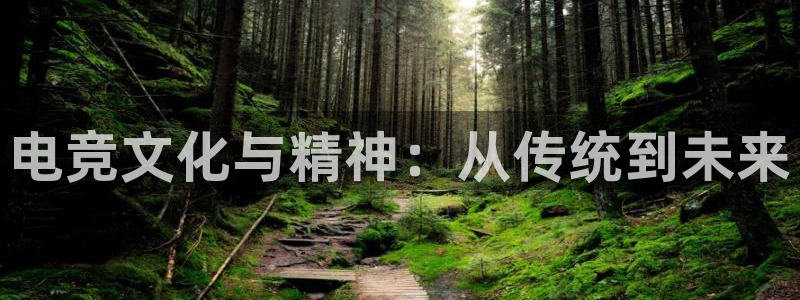火博电竞app官网网站：电竞文化与精神：从传统到未来