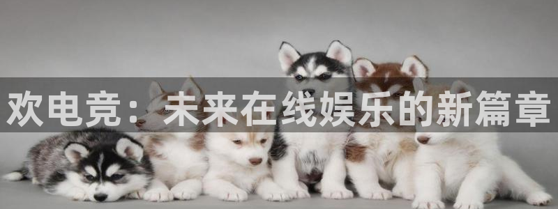 火博电竞app官网网站：欢电竞：未来在线娱乐的新篇章
