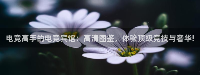 火博电竞：电竞高手的电竞宾馆：高清图鉴，体验顶级竞技与奢华!