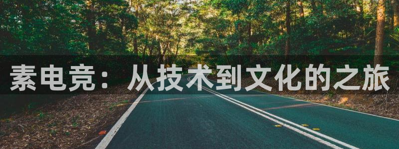 火博电竞官网入口：素电竞：从技术到文化的之旅