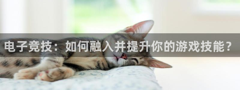 火博电竞官网入口：电子竞技：如何融入并提升你的游戏技能？