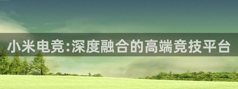 火博电竞网站：小米电竞:深度融合的高端竞技平台