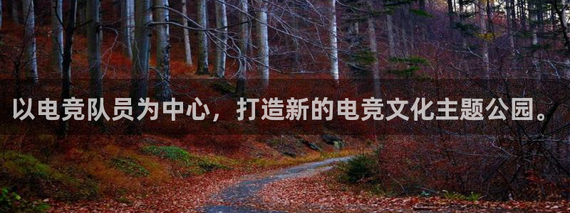 火博电竞官网入口：以电竞队员为中心，打造新的电竞文化主题公园。
