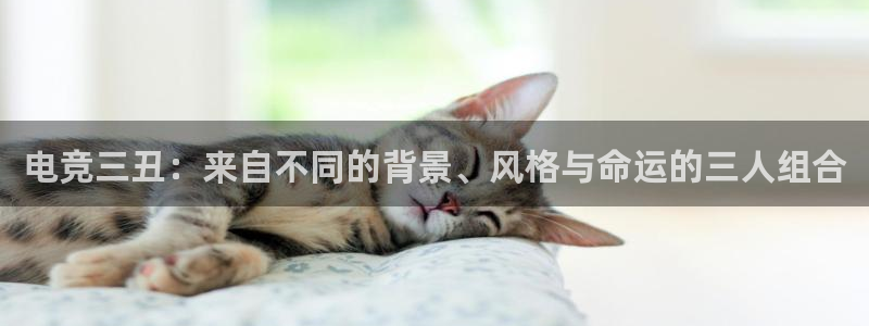 火博电竞网站：电竞三丑：来自不同的背景、风格与命运的三人组合
