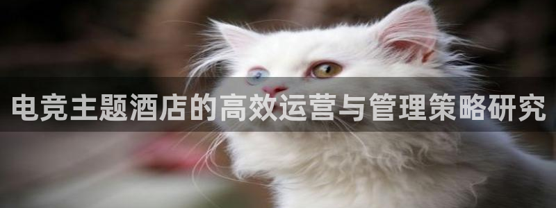 火博电竞：电竞主题酒店的高效运营与管理策略研究