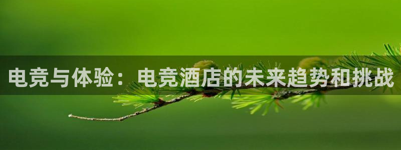 火博电竞官网入口：电竞与体验：电竞酒店的未来趋势和挑战