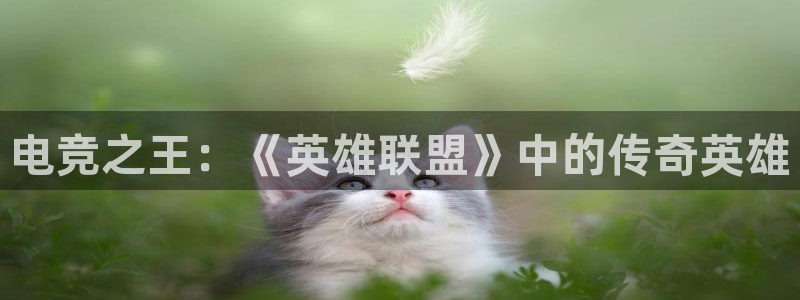 火博电竞官网入口：电竞之王：《英雄联盟》中的传奇英雄